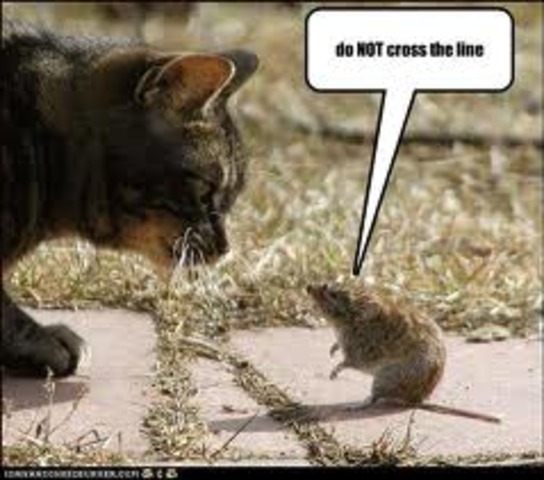 Mexican-American War