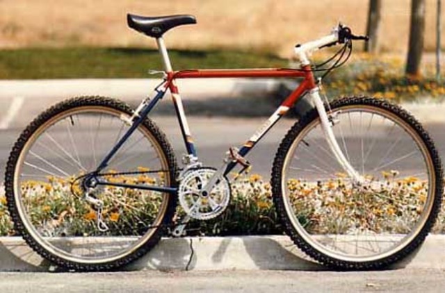 Beginings of the bike.