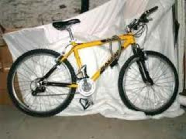 2000 Mountain Bike