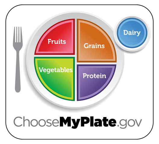 Choosemyplate.gov website established