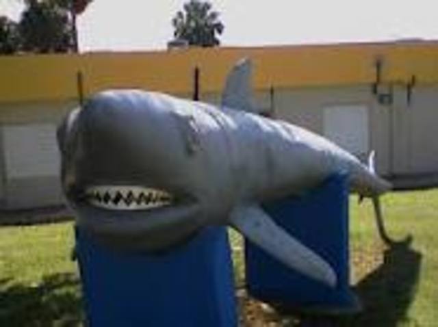 UPR  Aguadilla University