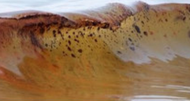 Hurricane Alex Disrupts Cleanup