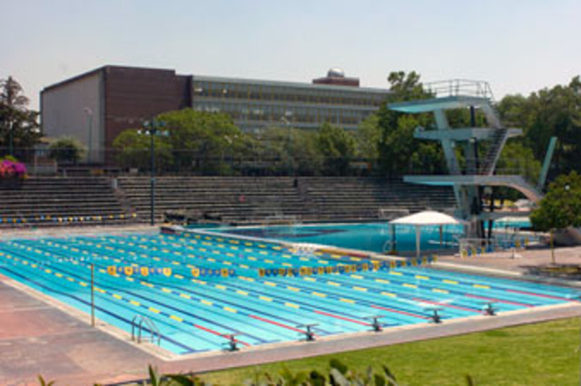 Mi primera competencia de natacion