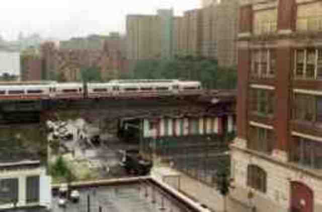 Language Rules Established