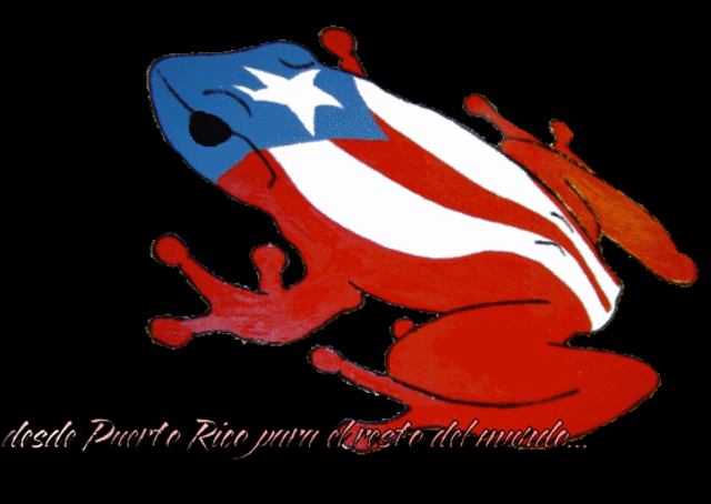 Teaching in Puerto Rico