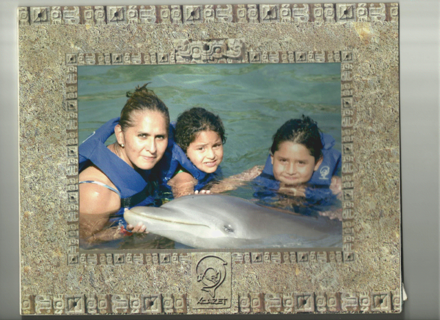 nadando  con delfines