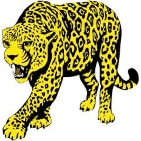 The jaguar is adopted as the mascot.