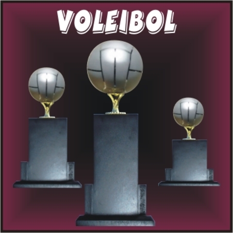 Campeonato torneo de Voleyball