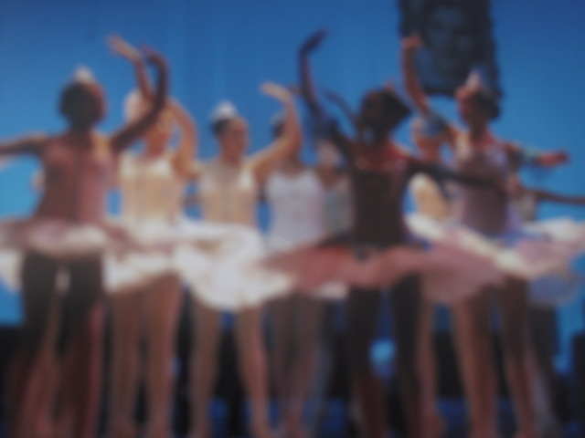 Prticipe en la Obra las 12 Princesas