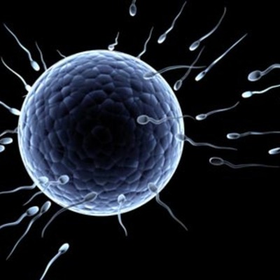 Timeline: Mis logros