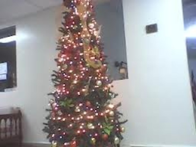 Pase mi primera navidad con toda mi familia junta.