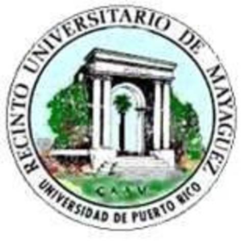 English at the University