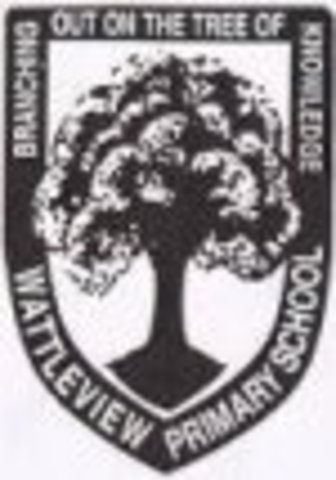 I started Primary School