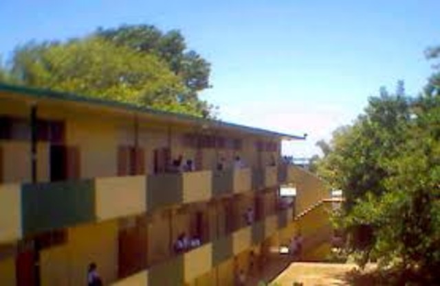 High School Year 11th grade