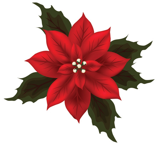 Poinsettia Day