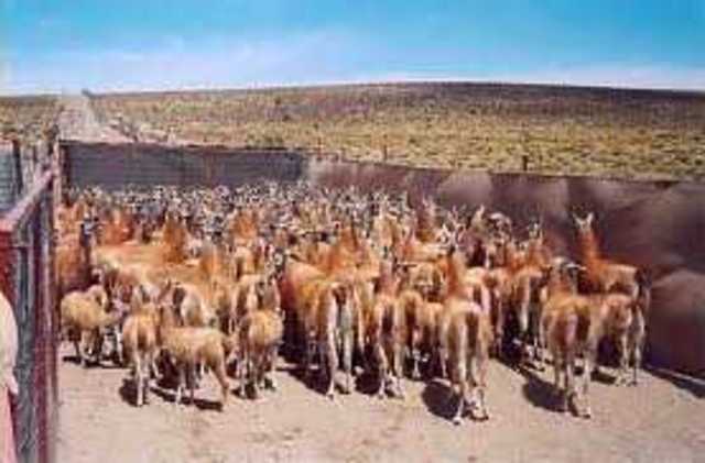 Fundación Los Menucos