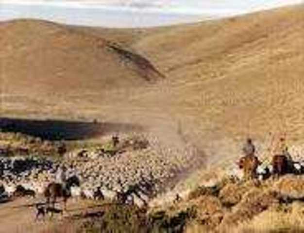 Fundación Maquinchao