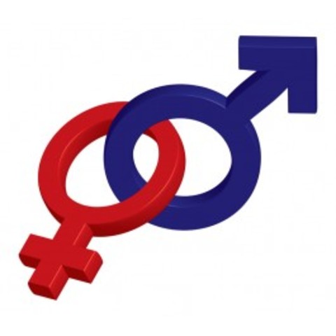 Sex Discrimination Act