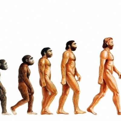 Timeline: The History Of Evolution By Yassamin