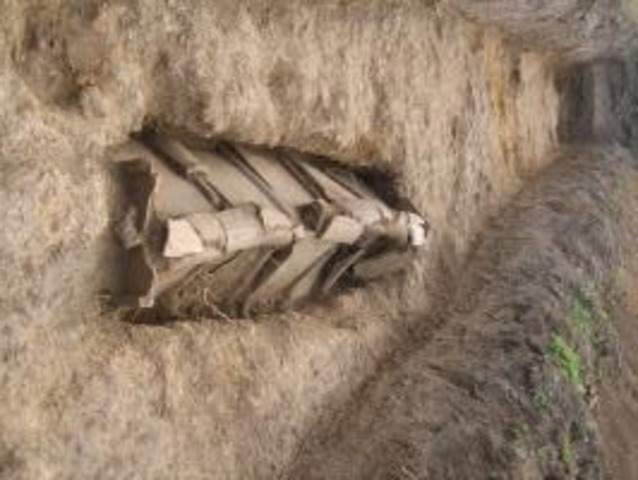 1305-1135 a. C, tumba de Roma