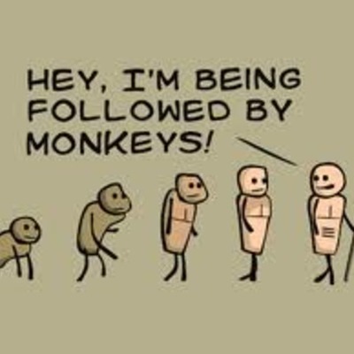 Timeline: Theories of Evolution by Caitlyn Irwin (Bindi)