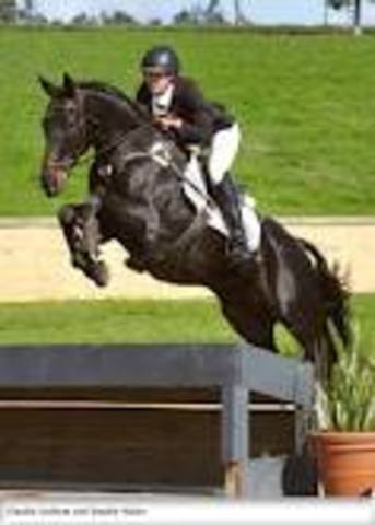 Wayne Roycroft (Equestrian)