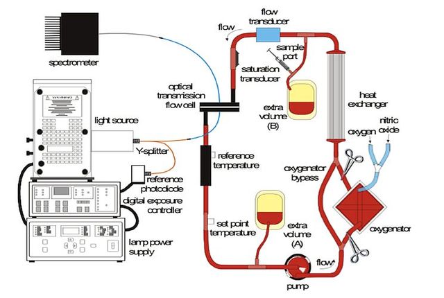 First heart/lung machine