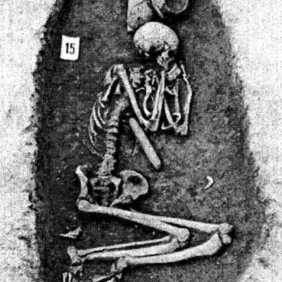 Timeline: Chapter 11 Holocene Europe, all credits to The Human Past, Thames & Hudson