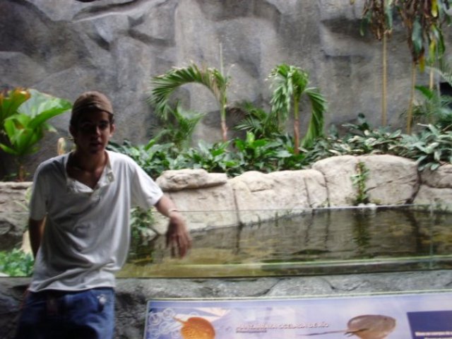 Zoologico de Guadalajara