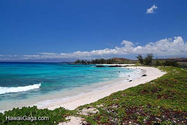 my third thing on my bucket list