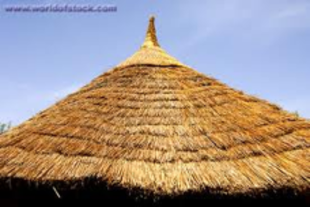 Thatched Roofing