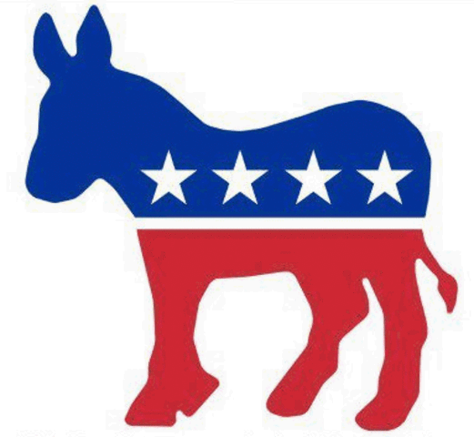 Democratic Party Formed