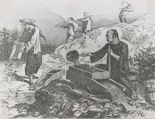 European favouritism and violence