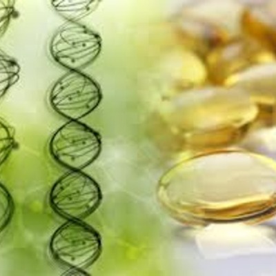 Timeline: The discovery of vitamins