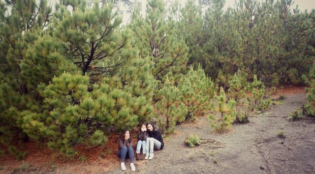 EN EL NEVADO DE COLIMA