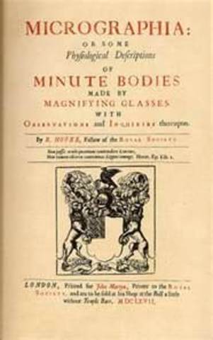 Microgphia is Published