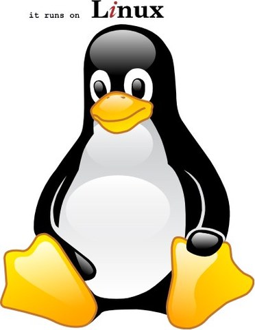 Se lanzó Linux 2.6.36