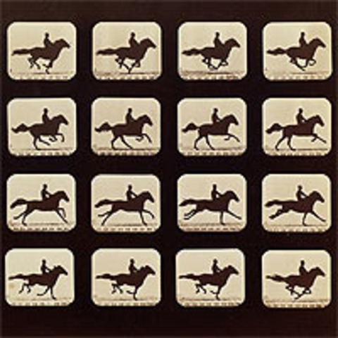 Leland Stanford's Bet