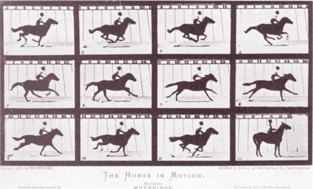 Leland Stanford's Bet