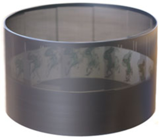 Zoetrope was invented