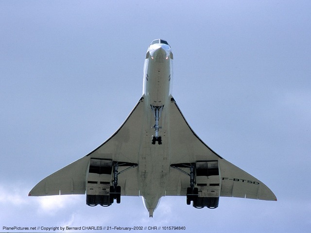 Travel around the world