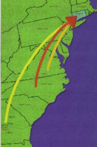 Second Wave of Immigration