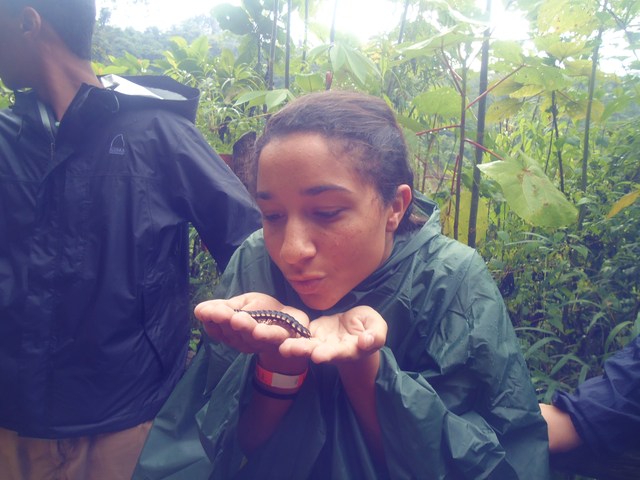 Waterfalls and Nature