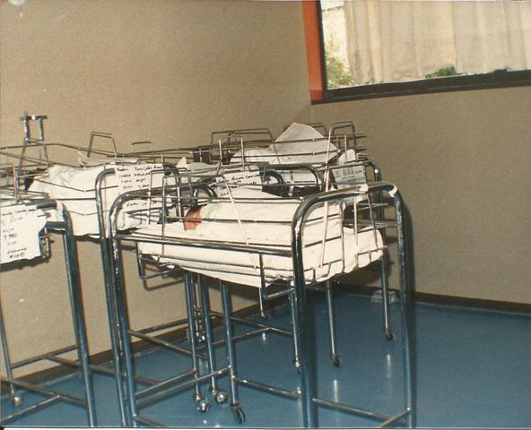 Día de mi Nacimiento...