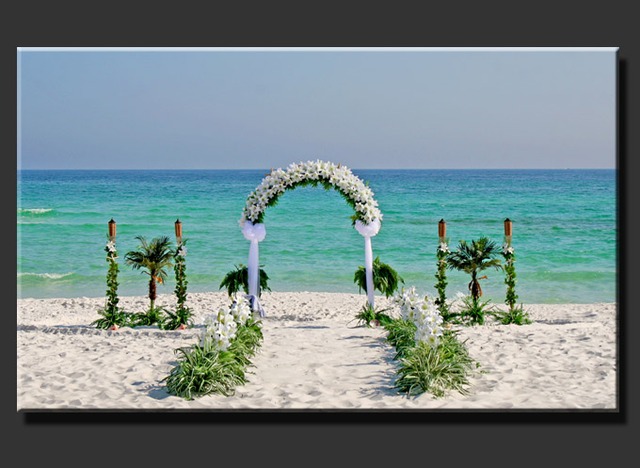 Family Reunion/ Wedding