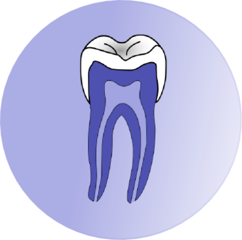 anesthesia and dentistry
