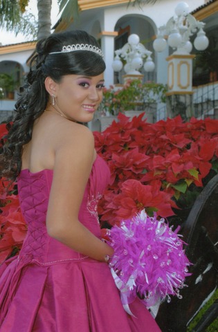 Mis Quince Años