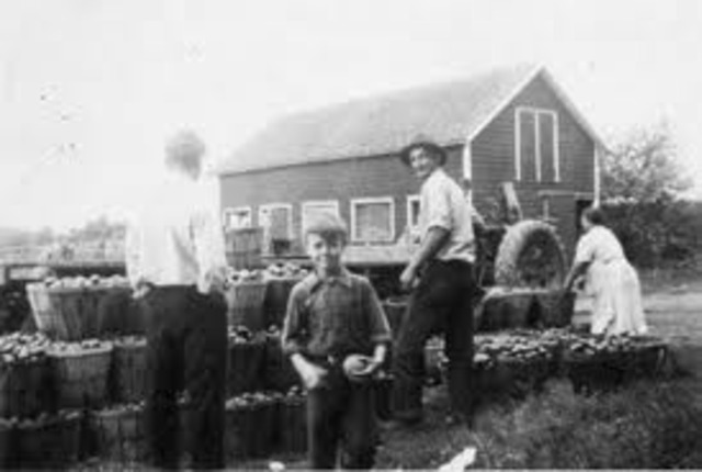 Agricultural Industry