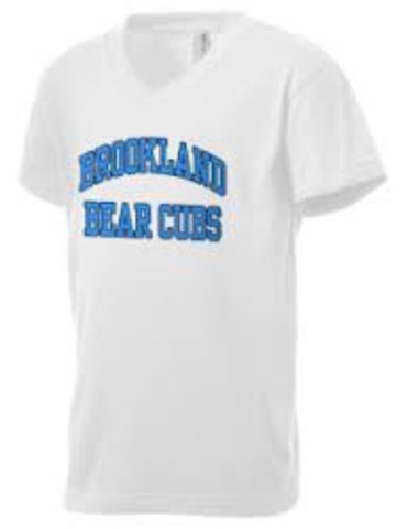 started middle school