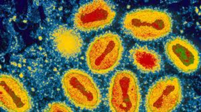 smallpox discovered